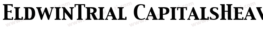 EldwinTrial CapitalsHeavyttf字体转换